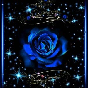 Meet your Posher, Jodi